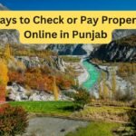 Best Ways to Check or Pay Property Tax Online in Punjab