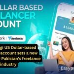 Discover how the Zindigi US Dollar-based freelancer account is revolutionizing Pakistan's freelance industry with new standards and opportunities.