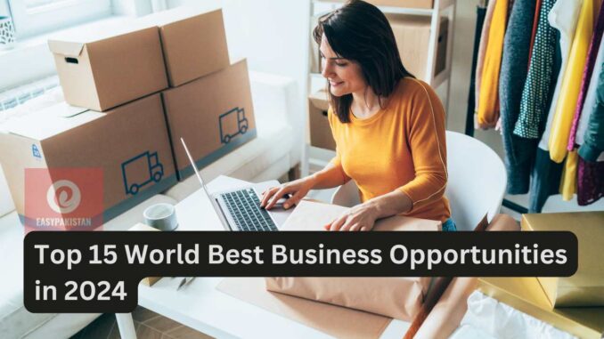 Top 15 World Best Business Opportunities in 2024