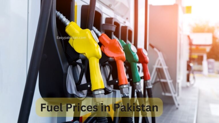 Fuel Prices in Pakistan