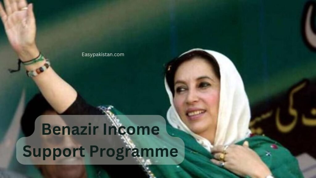 benazir income support programme