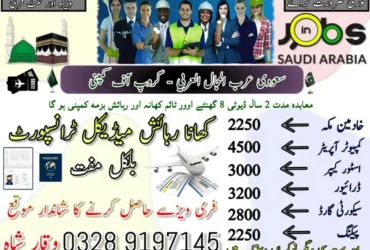 Driver jobs , Rider Jobs , Company Work permit Visa , Jobs in saudia