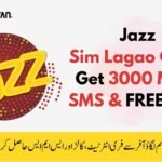 Jazz sim lagao offer