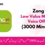 Zong low value monthly voice offer